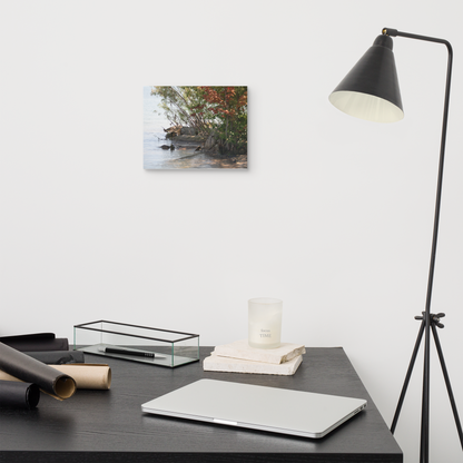 Ontario Shores Matte Canvas Wall Art Print