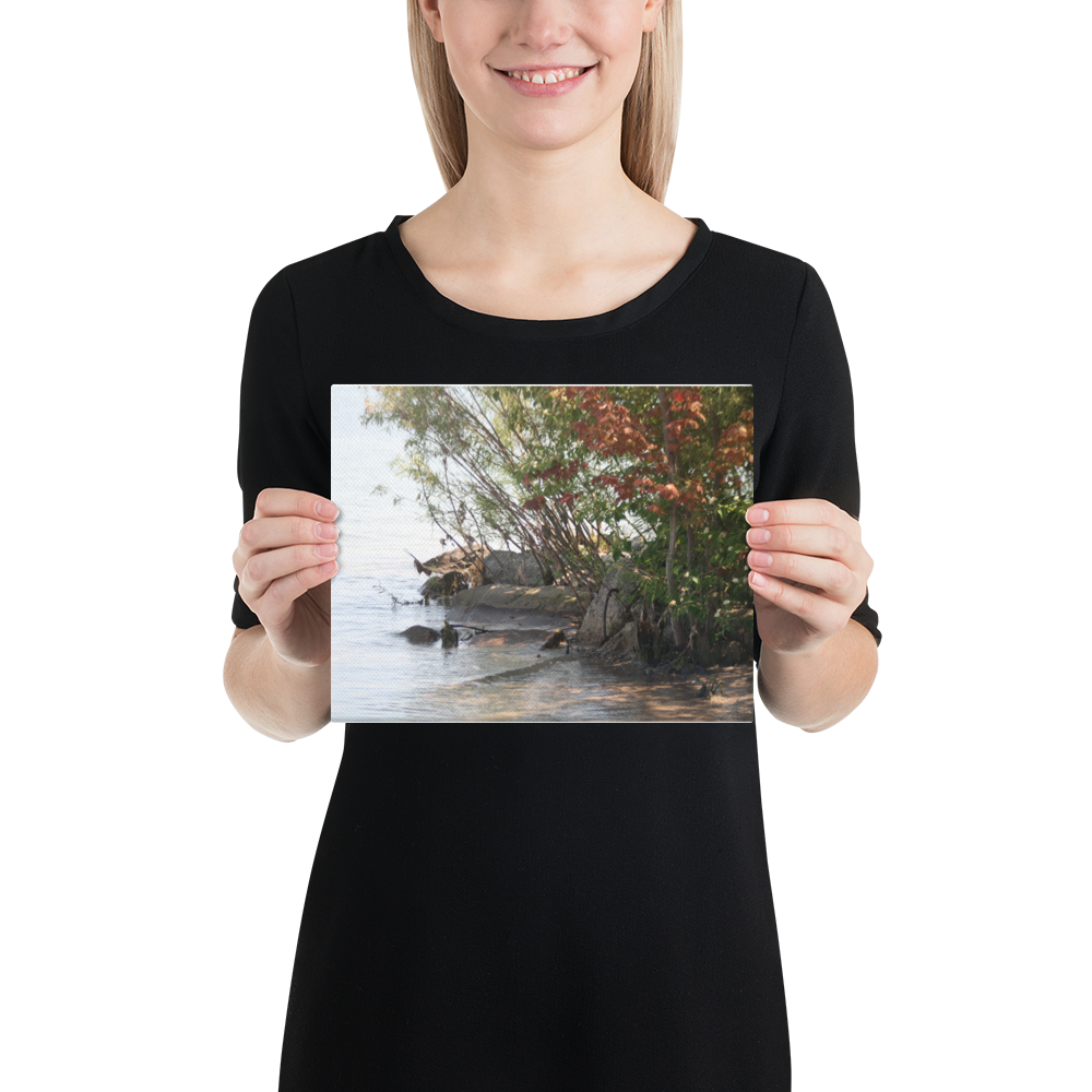 Ontario Shores Matte Canvas Wall Art Print