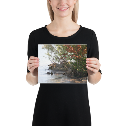 Ontario Shores Matte Canvas Wall Art Print