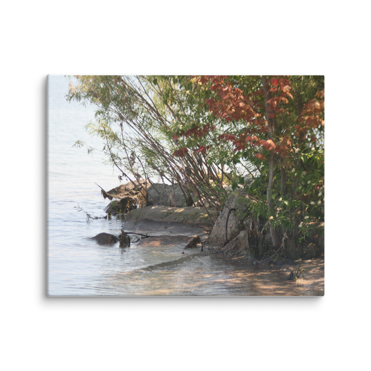 Ontario Shores Matte Canvas Wall Art Print