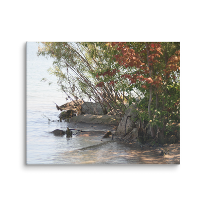 Ontario Shores Matte Canvas Wall Art Print